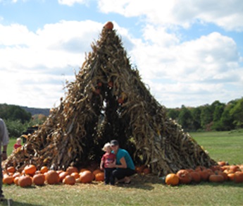 Corn Stalk Teepee & Hay Fort