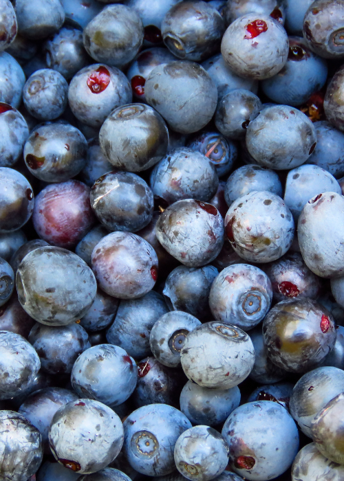 A close-up of freshly picked blueberries, with a few showing hints of red and purple. The image conveys a fresh and natural feel.
