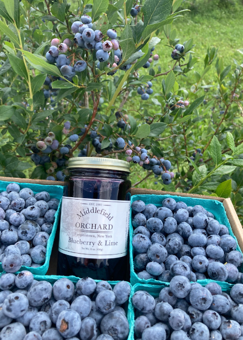 Box of fresh blueberries with a jar of blueberry and lime jam from “Middlefield Orchard” set among green blueberry bushes, conveying a fresh, natural vibe.