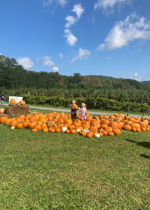 Two children stand joyfully among a large pile of pumpkins on a sunny day at a pumpkin patch. The backdrop features lush greenery and a blue sky.