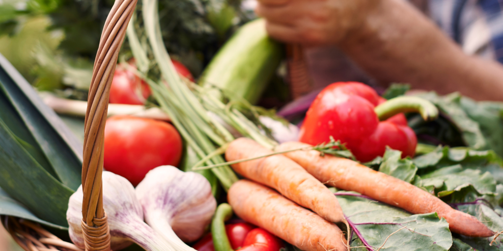 A close-up of a basket filled with fresh vegetables: carrots, tomatoes, red peppers, garlic, and leafy greens. A person holds the basket, evoking a sense of organic abundance.
